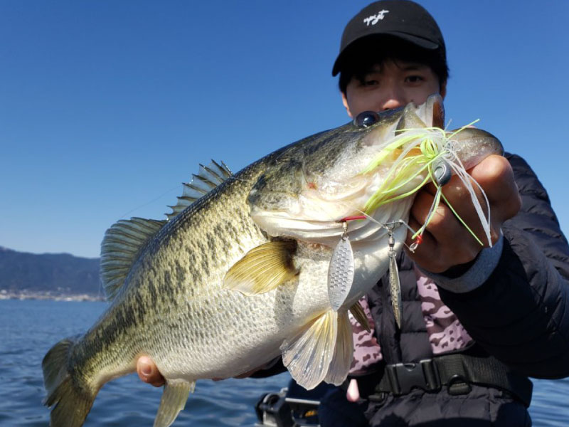 カエスルアーでのブラックバスの釣果