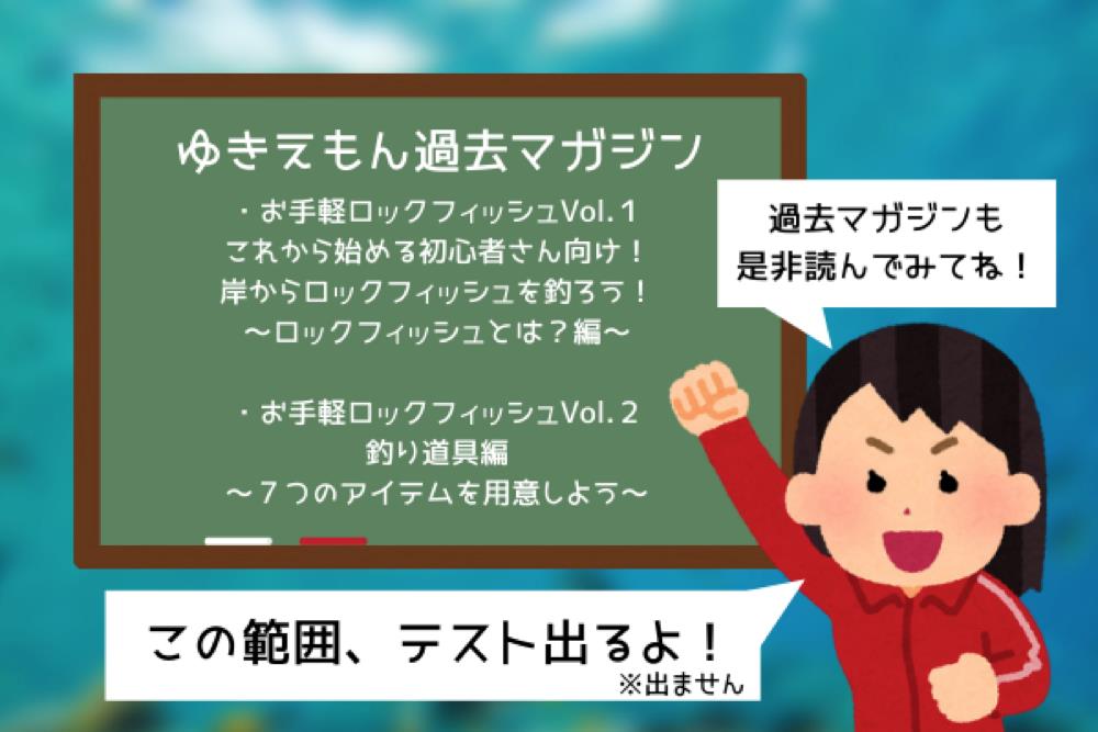 ロックゲーム お手軽ロックフィッシュvol 3 この7つアイテムを用意しよう 後編 アングラーズ 釣果250万件の魚釣り情報サイト