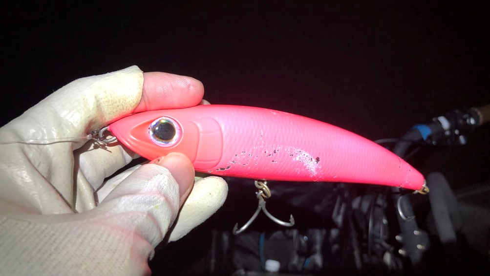 シーバス 東京湾 秋爆釣行記 第2話 アングラーズ 釣果300万件の魚釣り情報サイト