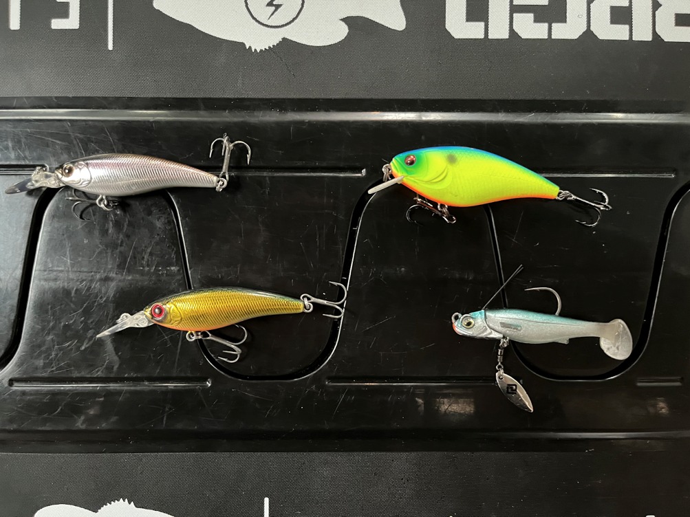ブラックバス スピニングタックルにおけるpeラインの有効性 アングラーズ 釣果300万件の魚釣り情報サイト