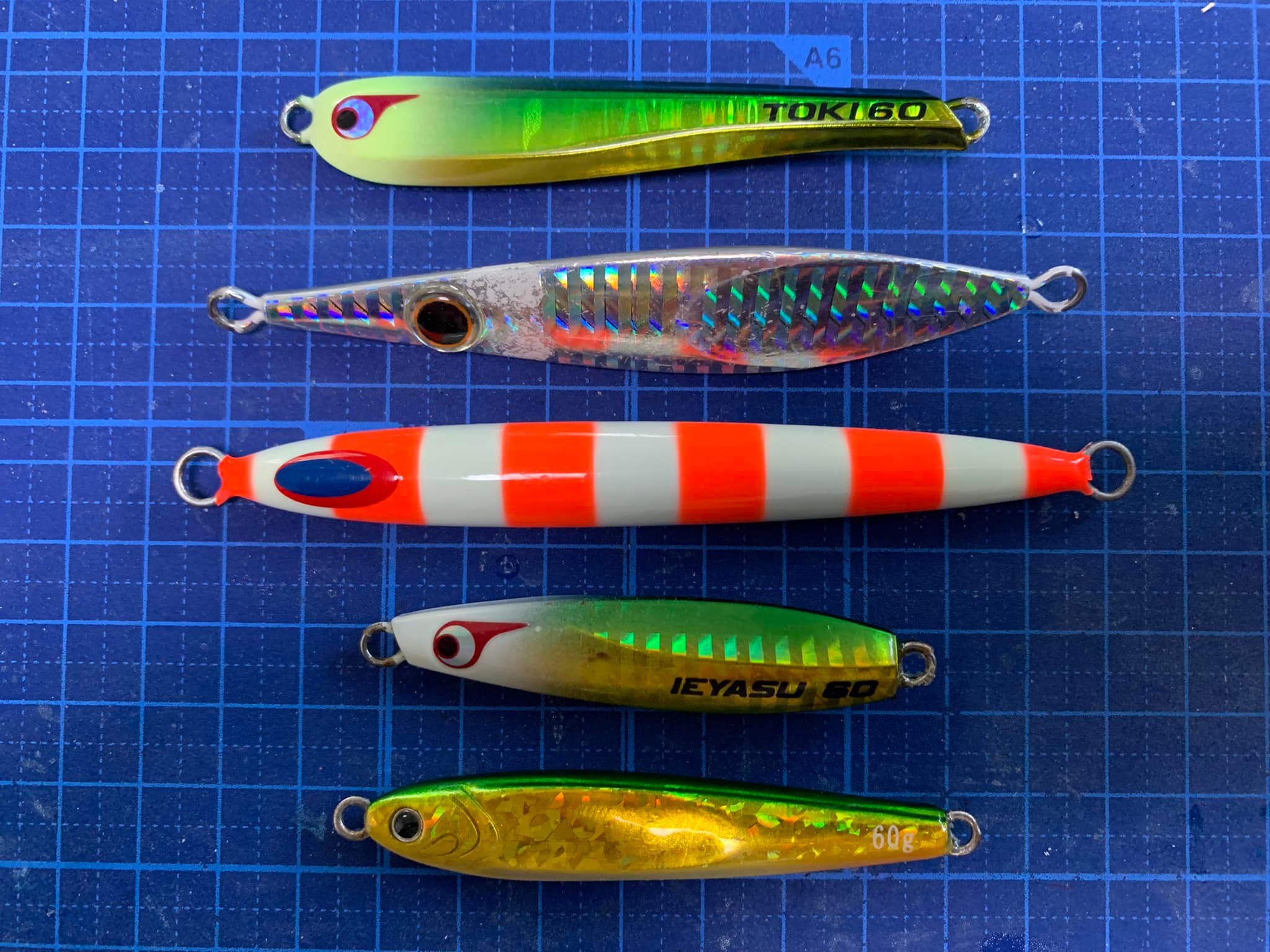 TGベイト 11個