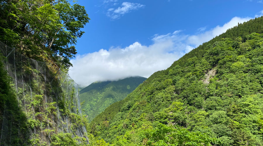 渓流の山