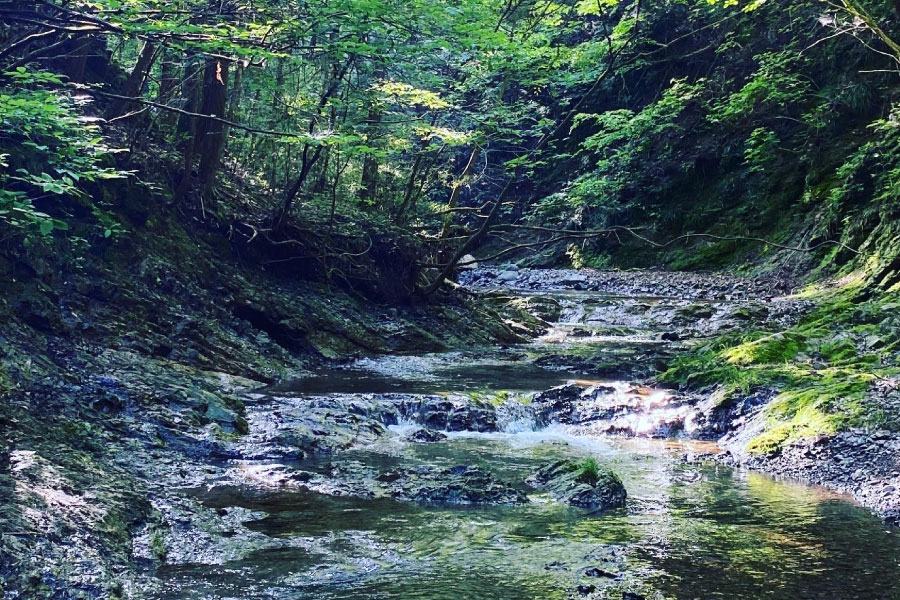 最高の天気