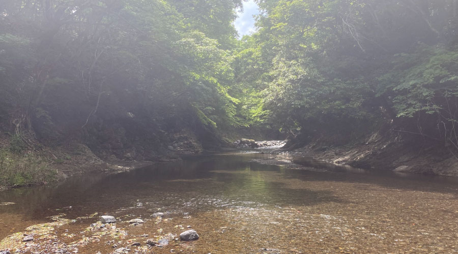 渓流の気配