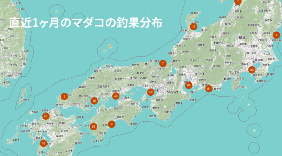 日本全国マダコ釣果