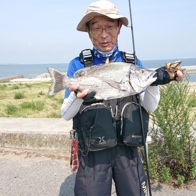 Shimano Vanquish 19 4000mhg アングラーズ 釣果250万件の魚釣り情報サイト