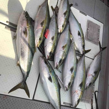 外道ハンターt さんの釣り人プロフィール アングラーズ 釣果250万件の魚釣り情報サイト