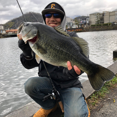 Shimano Sedona 4000hg アングラーズ 釣果0万件の魚釣り情報サイト