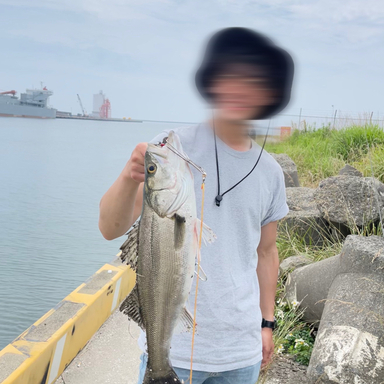 猪苗代湖の釣り人 アングラーズ 釣果360万件の魚釣り情報サイト