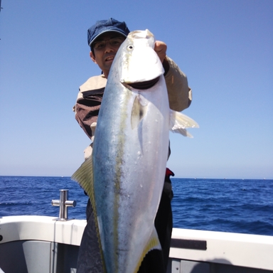 ぶりたつ さんの釣り人プロフィール アングラーズ 釣果0万件の魚釣り情報サイト