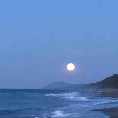 Daiwa Liberty Club Seabass 80l アングラーズ 釣果190万件の魚釣り情報サイト