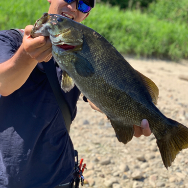 最上川の釣り人 アングラーズ 釣果190万件の魚釣り情報サイト
