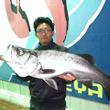 神子元島の釣果 釣り場情報 21年最新 アングラーズ 釣果0万件の魚釣り情報サイト