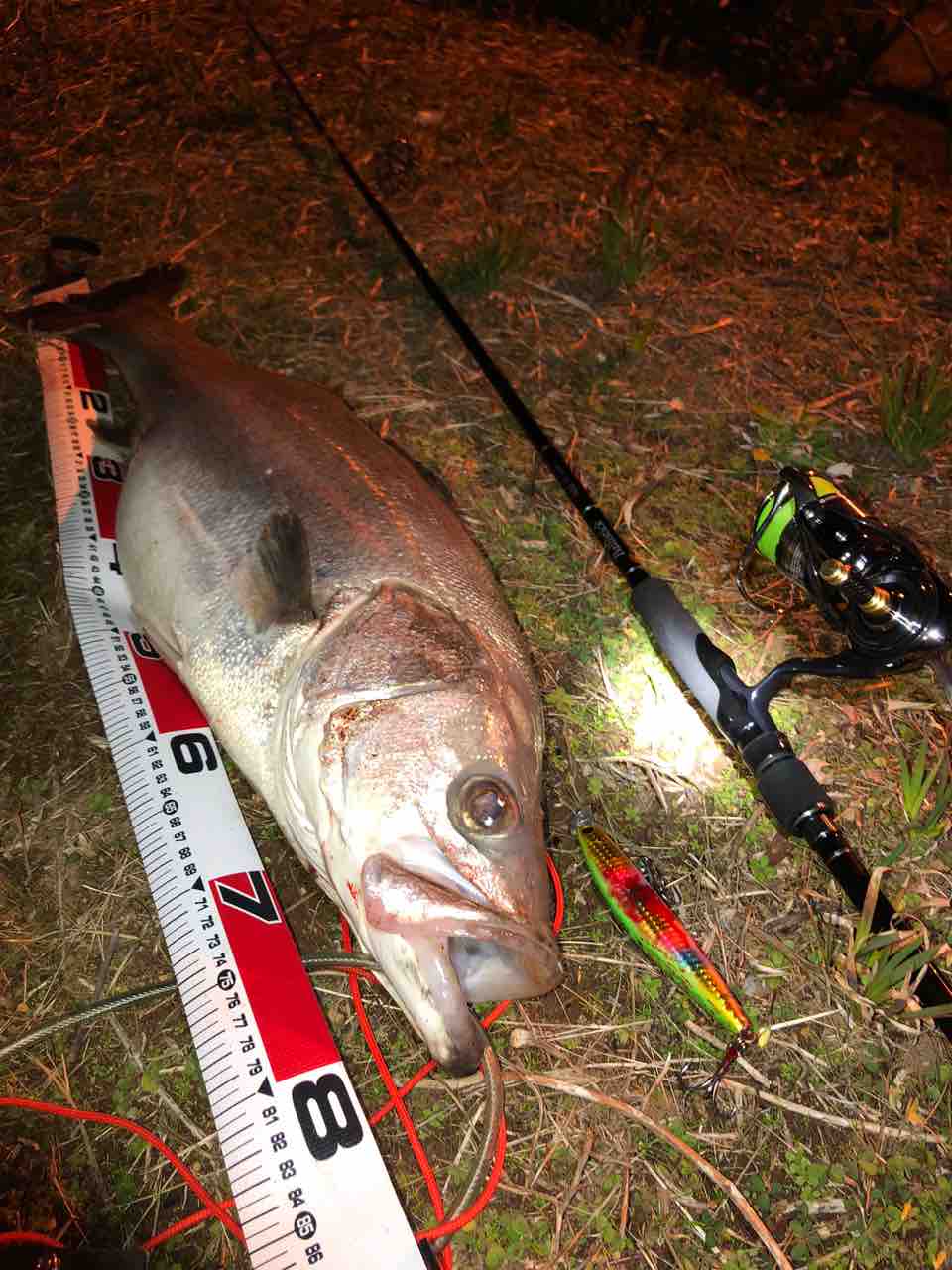 Paul2710さんのダイワ 19セルテート Lt4000 Cxhのレビュー By Paul2710 ダイワ 19セルテート Lt4000 Cxh のレビュー アングラーズ 釣果0万件の魚釣り情報サイト