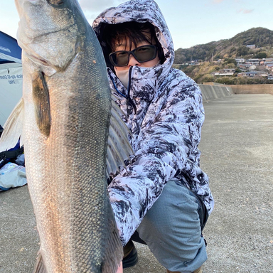 ゆぅたろぅ さんの釣り人プロフィール アングラーズ 釣果250万件の魚釣り情報サイト