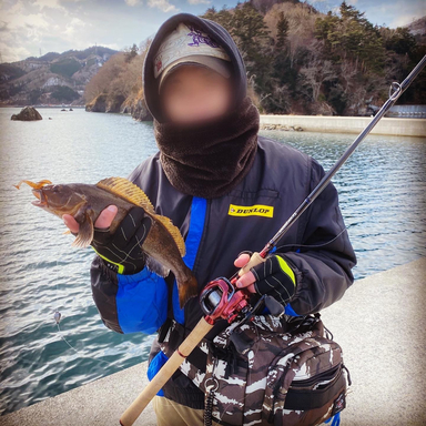 Shimano Scorpion 39 19 1703r 2 アングラーズ 釣果190万件の魚釣り情報サイト