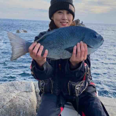 春加 さんの釣り人プロフィール アングラーズ 釣果360万件の魚釣り情報サイト