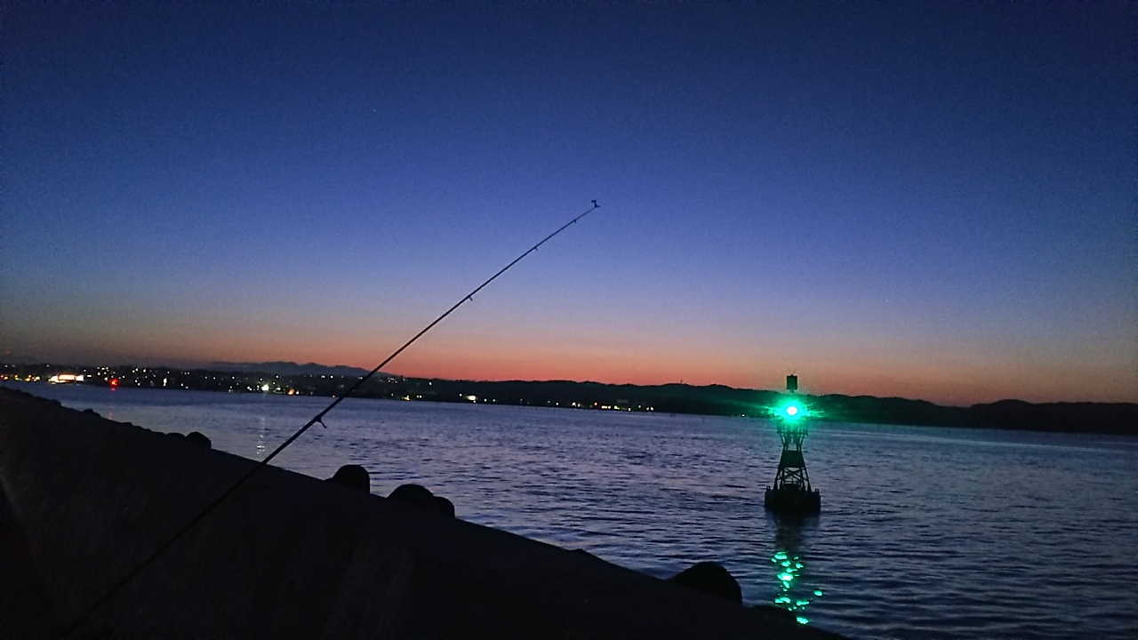 つりんこ さんの 年07月04日のシャコの釣り 釣果情報 宮城県 桃浦漁港 アングラーズ 釣果0万件の魚釣り情報サイト