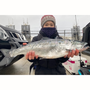 Meruru さんの釣り人プロフィール アングラーズ 釣果0万件の魚釣り情報サイト