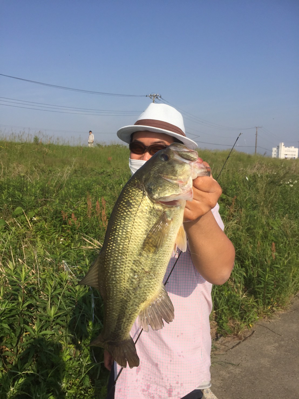 ダイワ エアエッジ 701mhb St Www Vetrepro Fr