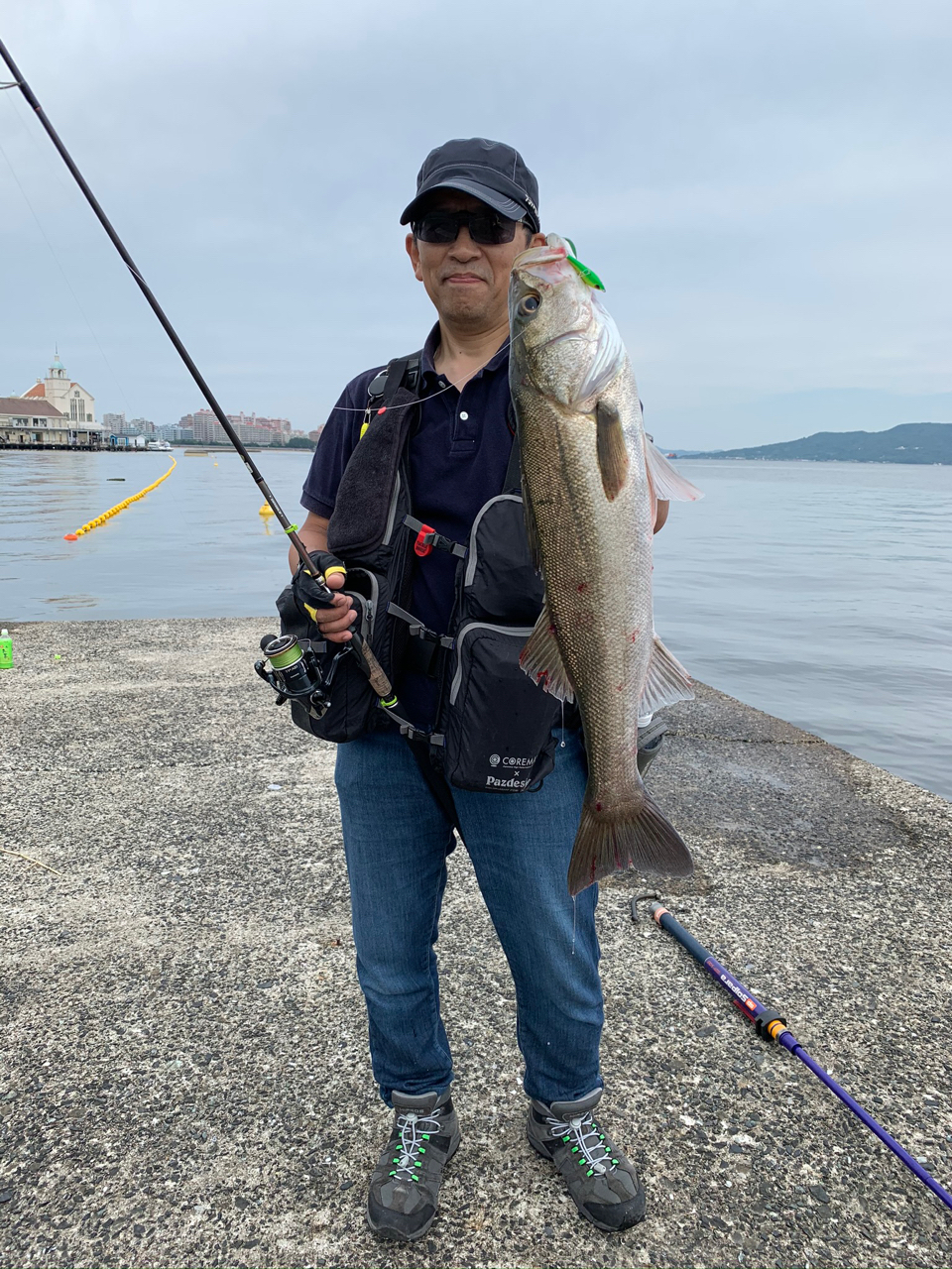 グランデージライト74 アピア APIA グランデージライト 74