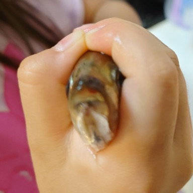 サンチェ さんの釣り人プロフィール アングラーズ 釣果0万件の魚釣り情報サイト