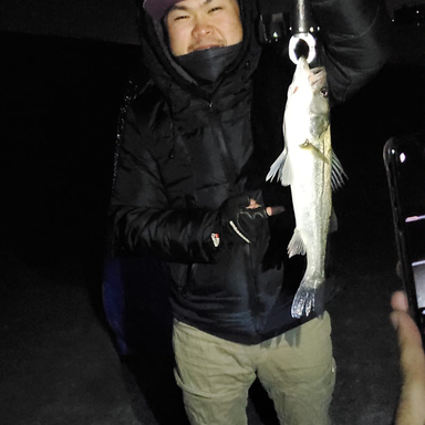 Abugarcia Xrossfield Xrfs 904m Te アングラーズ 釣果190万件の魚釣り情報サイト