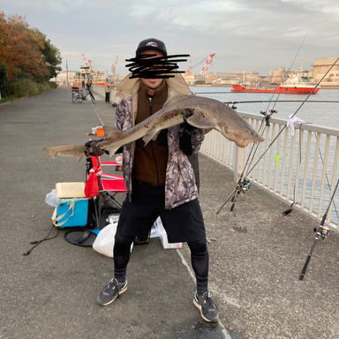 Swアングラー さんの釣り人プロフィール アングラーズ 釣果190万件の魚釣り情報サイト