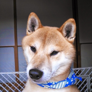 加古川河口の釣り人 アングラーズ 釣果190万件の魚釣り情報サイト