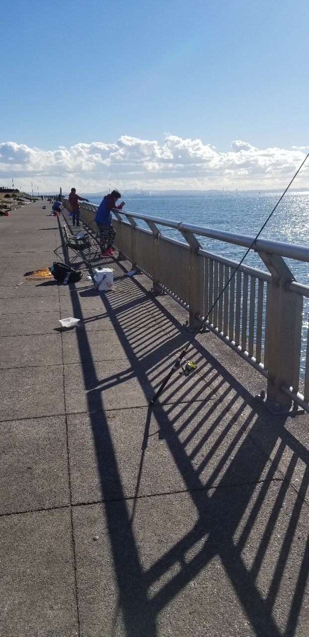 最高のロッド 万能 By Takuto ダイワ リバティクラブ ライトパック 10 240 のレビュー アングラーズ 釣果0万件の魚釣り情報サイト