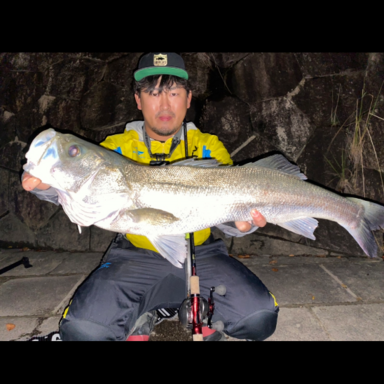 Shimano Scorpion 1787rs 2 アングラーズ 釣果360万件の魚釣り情報サイト