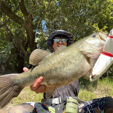 もりりん さんの釣り人プロフィール アングラーズ 釣果360万件の魚釣り情報サイト