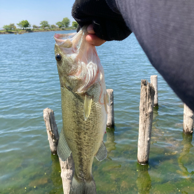 Daiwa Zillion Tw Hlc 1514shl アングラーズ 釣果190万件の魚釣り情報サイト