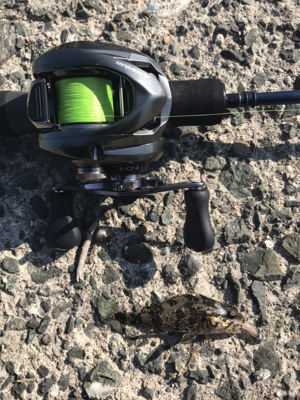ライトバーサタイル By メガネ君 シマノ アルデバラン Mgl 30 Hg のレビュー アングラーズ 釣果0万件の魚釣り情報サイト