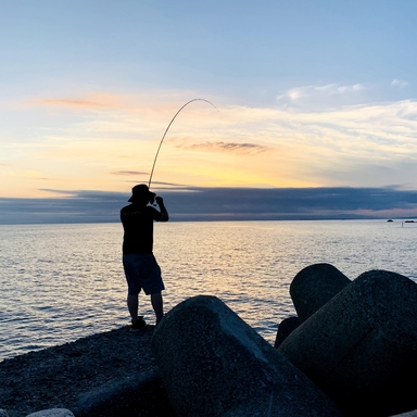 ぬえ さんの 21年09月04日のアオリイカの釣り 釣果情報 千葉県 内房 アングラーズ 釣果0万件の魚釣り情報サイト