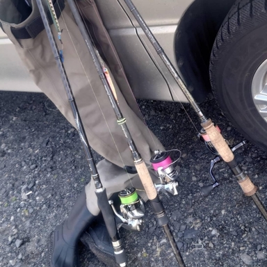 Shimano Dialuna S1100m アングラーズ 釣果0万件の魚釣り情報サイト