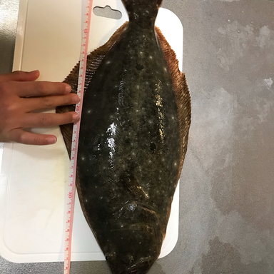 塩焼き食べたい さんの 21年06月06日のツバスの釣り 釣果情報 静岡県 駿河湾 アングラーズ 釣果0万件の魚釣り情報サイト