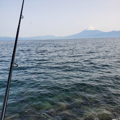 Daiwa Liberty Club Light Pack 30 270 アングラーズ 釣果190万件の魚釣り情報サイト