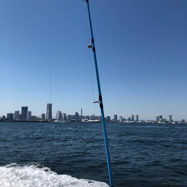 ぺろ18sh さんの釣り人プロフィール アングラーズ 釣果0万件の魚釣り情報サイト