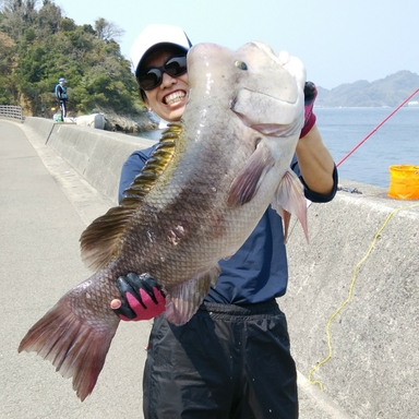 アングラー T さんの釣り人プロフィール アングラーズ 釣果190万件の魚釣り情報サイト