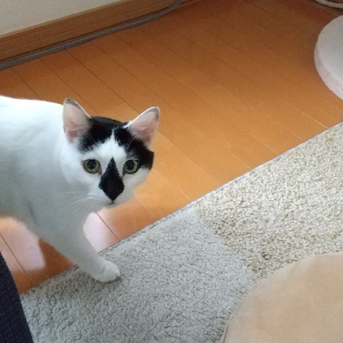 猫ねこ さんの釣り人プロフィール アングラーズ 釣果0万件の魚釣り情報サイト