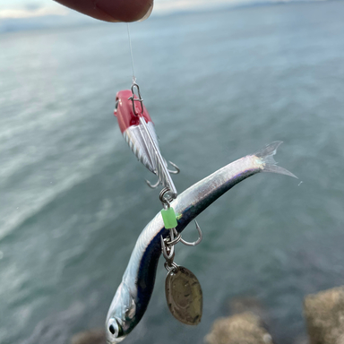 釣り子坊主 さんの釣り人プロフィール アングラーズ 釣果300万件の魚釣り情報サイト