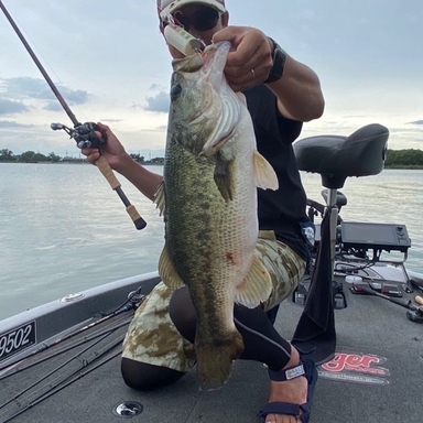 もりもり さんの釣り人プロフィール アングラーズ 釣果360万件の魚釣り情報サイト