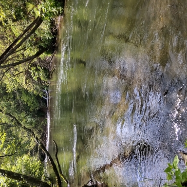 新芝川の釣果 釣り場情報 22年最新 アングラーズ 釣果300万件の魚釣り情報サイト