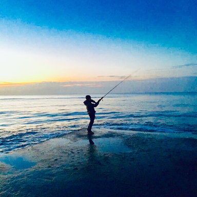 Majorcraft Solpara Eging Sps 2e アングラーズ 釣果250万件の魚釣り情報サイト