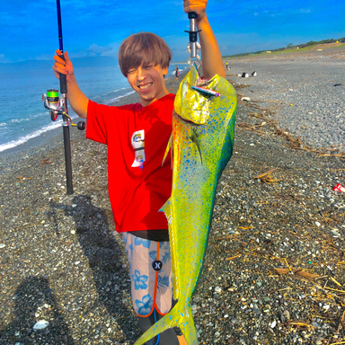 伊豆半島アングラー さんの釣り人プロフィール アングラーズ 釣果250万件の魚釣り情報サイト