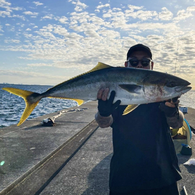 田辺湾の釣果 釣り場情報 21年最新 アングラーズ 釣果250万件の魚釣り情報サイト