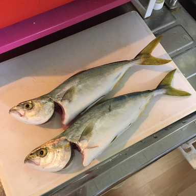 刺身で食べたい さんの釣り人プロフィール アングラーズ 釣果360万件の魚釣り情報サイト