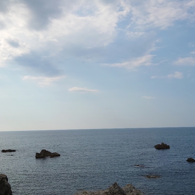 グルメパンダ さんの釣り人プロフィール アングラーズ 釣果0万件の魚釣り情報サイト