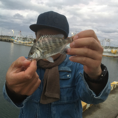 冬でもサビキ さんの釣り人プロフィール アングラーズ 釣果300万件の魚釣り情報サイト